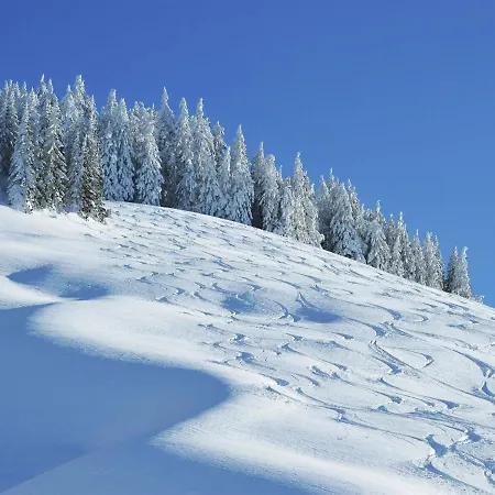 Daire Cosy In Near Ski Lift *
